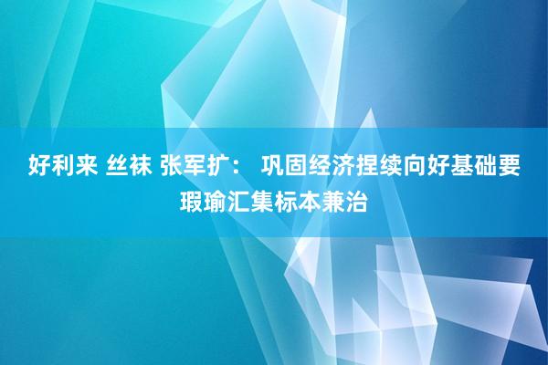 好利来 丝袜 张军扩： 巩固经济捏续向好基础要瑕瑜汇集标本兼治