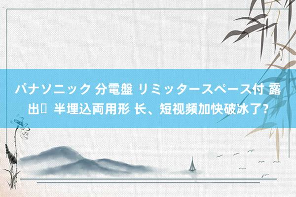 パナソニック 分電盤 リミッタースペース付 露出・半埋込両用形 长、短视频加快破冰了？