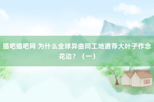 插吧插吧网 为什么全球异曲同工地遴荐大叶子作念花边？（一）