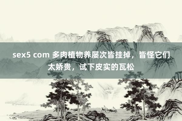 sex5 com 多肉植物养屡次皆挂掉，皆怪它们太娇贵，试下皮实的瓦松